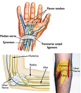 Pfisterer Orthopaedics - Hand and Wrist